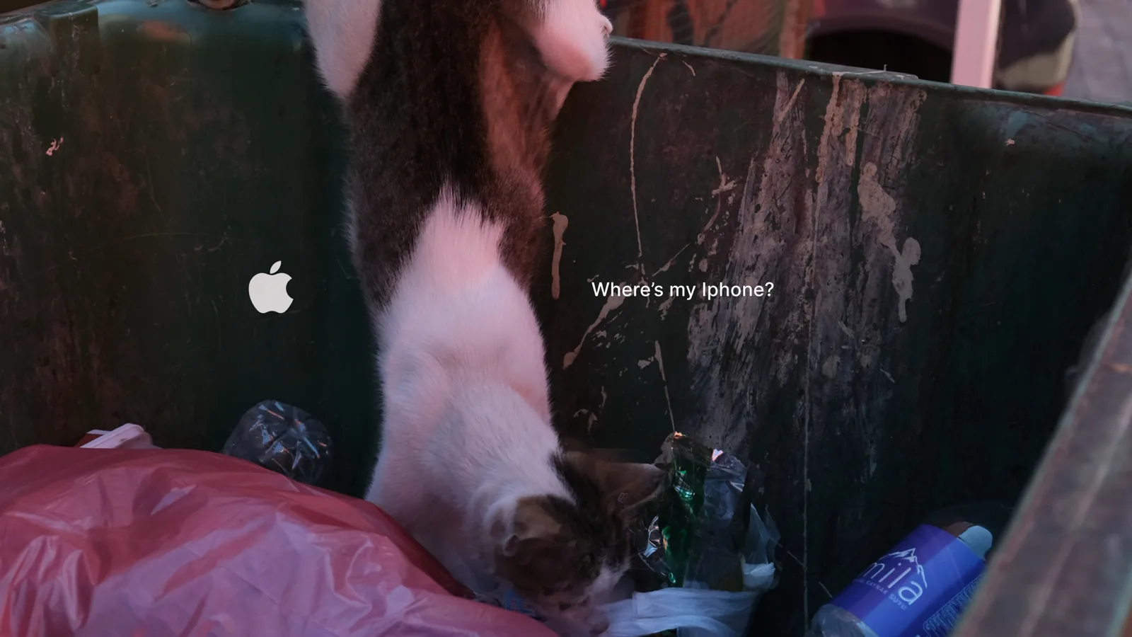 Shot on iPhone