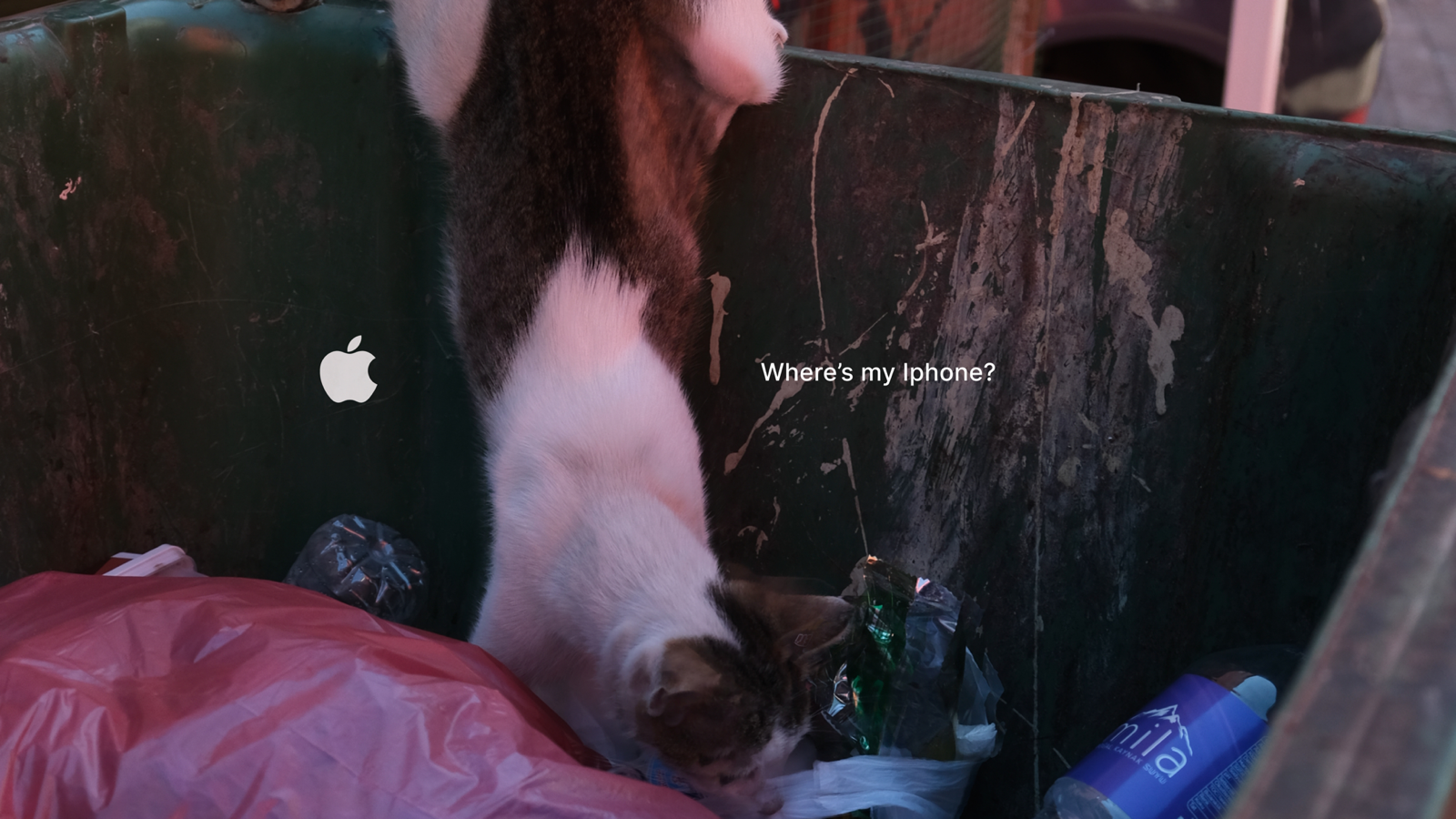 Shot on iPhone