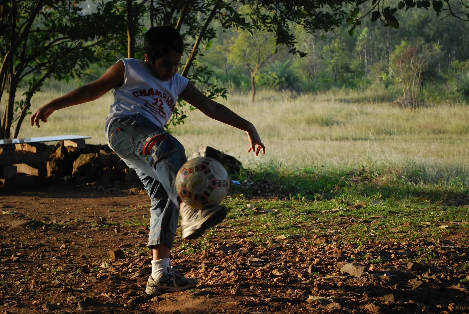 A dog, mid-air